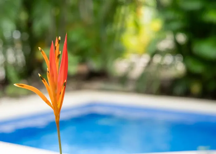 Montemar At Playa Hermosa Villa Sardinal (Guanacaste)